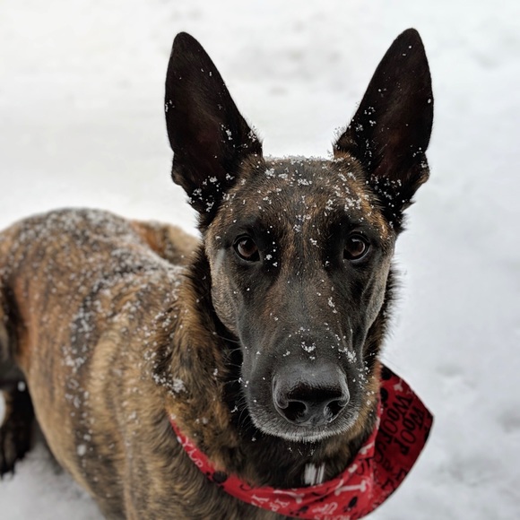 Meet your Posher! - Picture 4 of 5